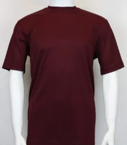 Bassiri Short Sleeve Mock Neck Ribbed Jersey Knit Tee - Burgundy Plum