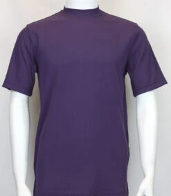Bassiri Short Sleeve Mock Neck Ribbed Jersey Knit Tee - Purple