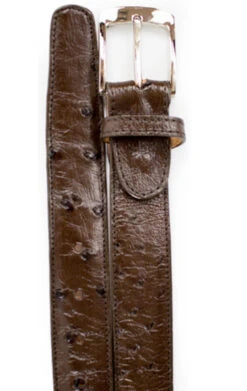 Belvedere Genuine Ostrich Quill Dress Belt -Fashion Formal Wear Store BELBT 2001 brown 65892.1519250068