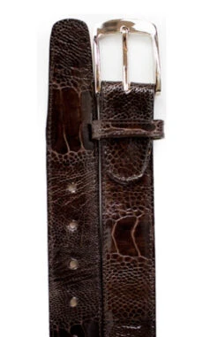 Belvedere Genuine Ostrich Leg Dress Belt -Fashion Formal Wear Store BELV 2000 brown 75194.1519244600