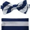 Grey And Blue Stripes Pre-Tied Silk Bow Tie Set -Fashion Formal Wear Store BWTH 461 01794.1543185957