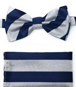 Grey And Blue Stripes Pre-Tied Silk Bow Tie Set