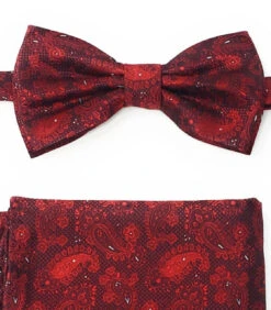 Dark Red Paisleys Pre-Tied Silk Bow Tie Set