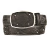 King Exotic Genuine Shark Cut-Out Design Western Belt - Black -Fashion Formal Wear Store KE BLT 4C11F0905 69311.1613689874
