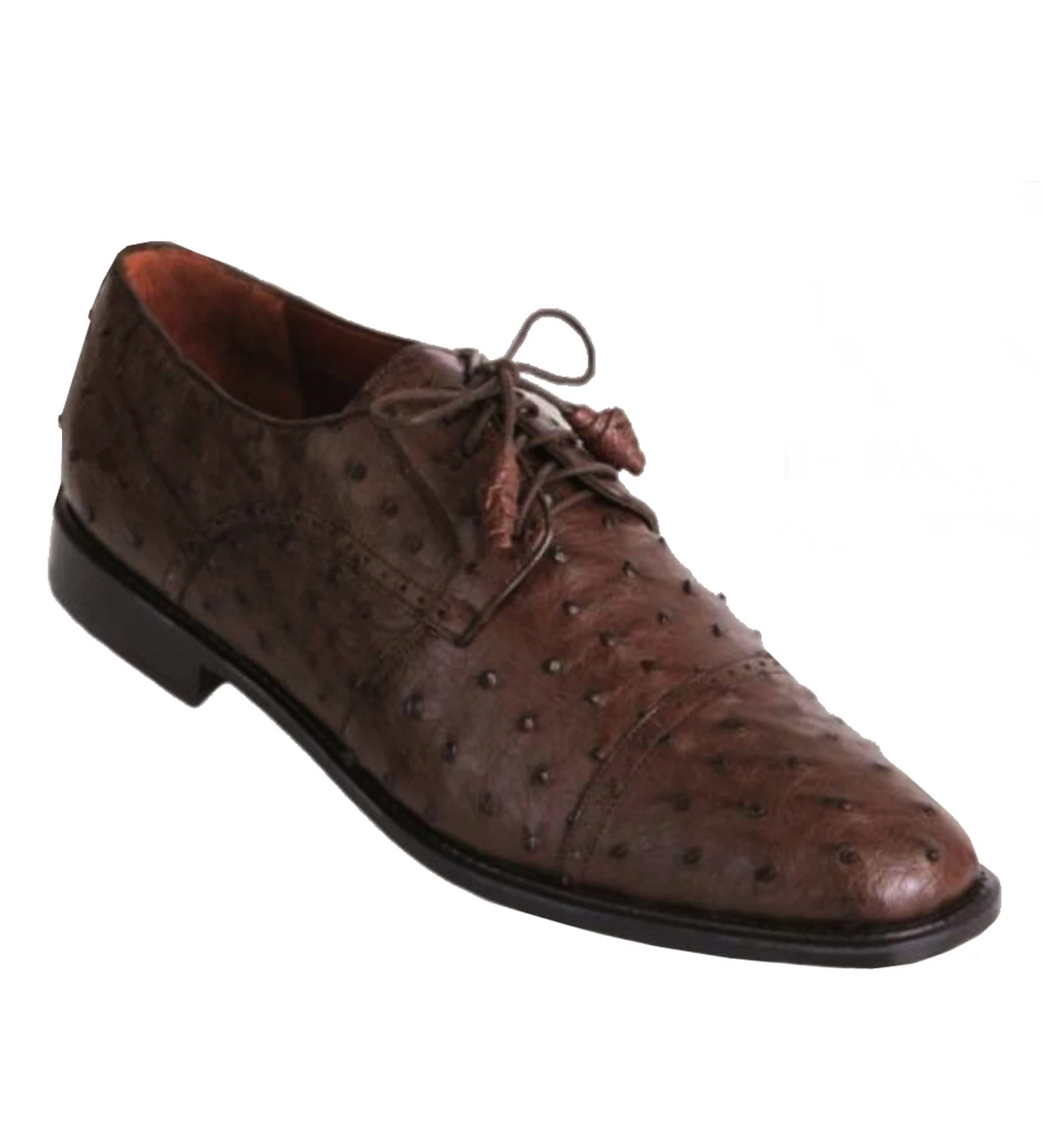 Los Altos Genuine Ostrich Quill Cap Toe Dress Shoe - Brown 3 Los Altos Genuine Ostrich Quill Cap Toe Dress Shoe - Brown