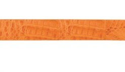 Los Altos Genuine Caiman Croc Hornback Western Fashion Belt - Buttercup -Fashion Formal Wear Store LSAL C11U0202 4 68581.1614208149