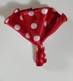 Antonio Ricci 2-in-1 Pouf Round Pocket Square - Red With White Polka Dots -Fashion Formal Wear Store Red PolkaDot 6 42313.1656622205