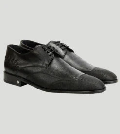 Vestigium Genuine Cat Shark & Calf Oxford Dress Shoe