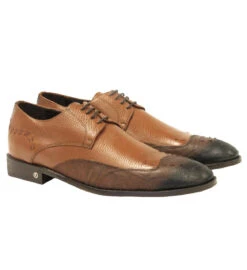 Vestigium Genuine Cat Shark & Calf Faded Tone Oxford Dress Shoe