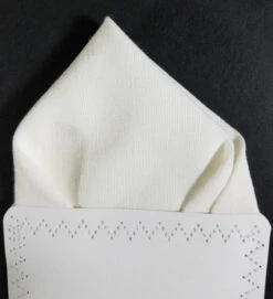 Men's Winter White 100% Linen Pre-Folded Pocket Square Insert - Point Design 10 Men's Winter White 100% Linen Pre-Folded Pocket Square Insert - Point Design -Fashion Formal Wear Store white linen4 70000.1643133068